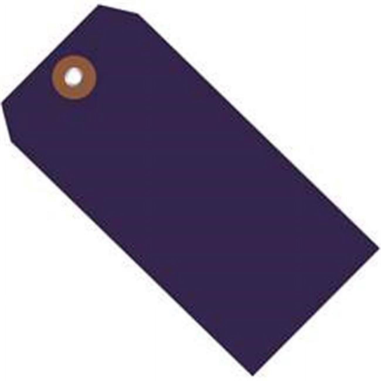 6.25 x 3.12 in. Blue Plastic Shipping Tags - Pack of 100