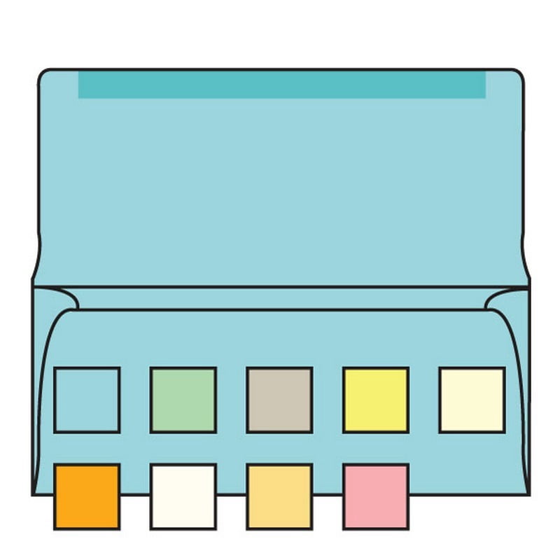 Envelope Collection Box #6-3/4 Collection/Remittance Envelopes, 3-5/8