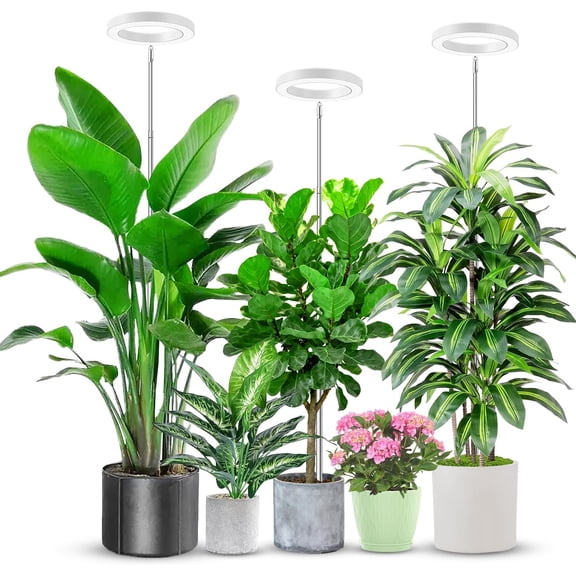 6.3 Inch Full Spectrum Grow Light with 80 LED, Height Adjustable 10 to 65 Inches, Auto Timer and 3 Lighting Modes, 3 Pack