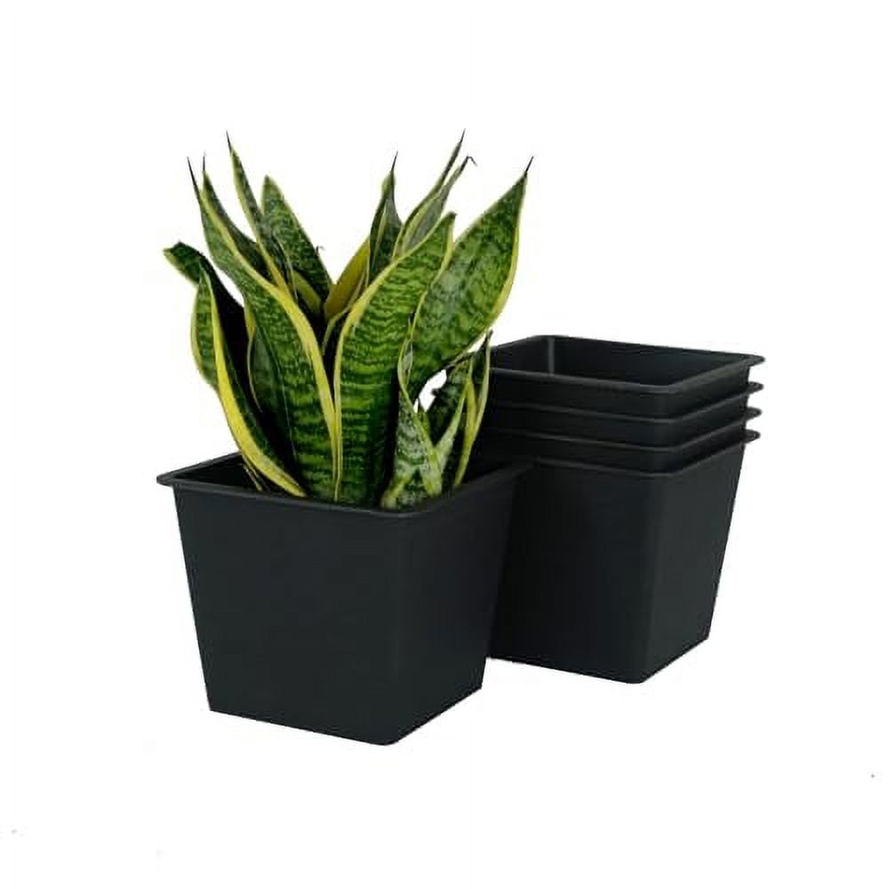6.3" Square Nursery Plant Pot, Garden Plastic Pots with Drainage (5 pack)