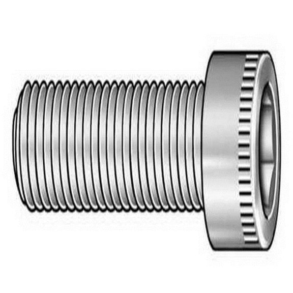 Choice Zoro SDSC0060038CP-PK100 No.6-32 x 0.375 in. Alloy Steel Socket Head Cap Screws - Pack of 100