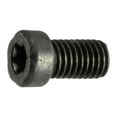 thumbnail image 1 of #6-48 x 1/4" Black Oxide T-10 Star Drive Fillister Head Gun Screws (12 pcs.), 1 of 2