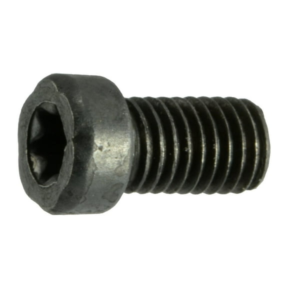 #6-48 x 1/4" Black Oxide T-10 Star Drive Fillister Head Gun Screws (12 pcs.)