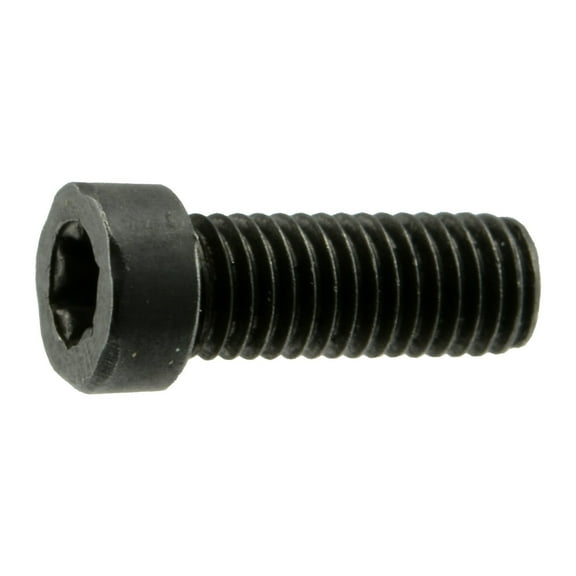 #6-48 x 3/8" Black Oxide T-10 Fillister Head Star Drive Gun Screws (12 pcs.)