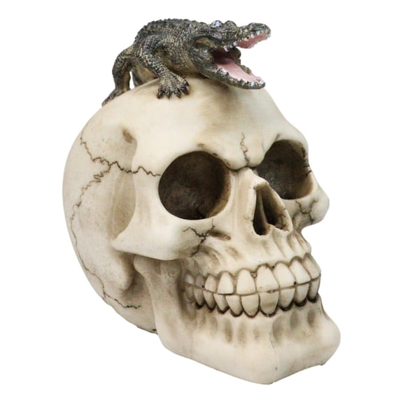 Ossuary Macabre Gothic Jointed Skull with Perching Crocodile Gator Figurine