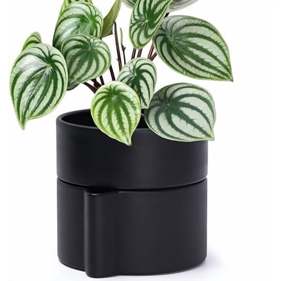 6.5 Inch Self-Watering Planter Pot with Terracotta Insert, Deep Water Reservoir, and Ceramic-Alike BPA-Free Plastic Planter Pot for Plant, Modern Planter for Houseplants, Black, 53-A-S-2