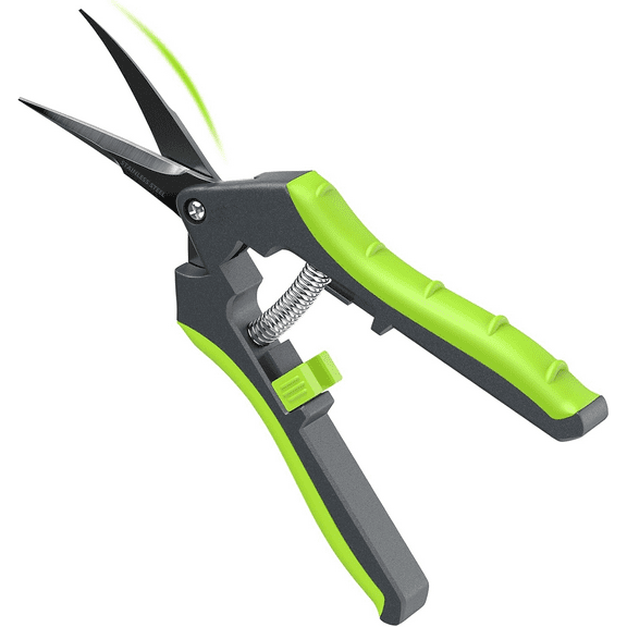 6.5" Pruning Shears for Gardening, Sharp Plant Trimming Scissors for Precise Cuts, Stainless Steel Garden Scissors Bonsai Clippers (1-Pack Curved)