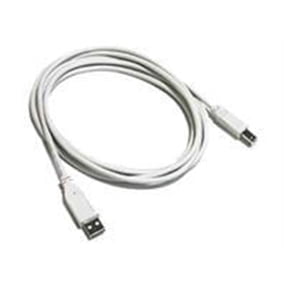 6.5' USB 2.0 A Male to B Male Cable - White