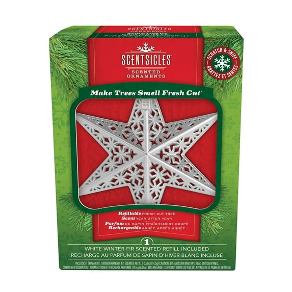 6.5" White Winter Fir Christmas Star Ornament