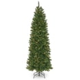 thumbnail image 1 of National Tree Company 6.5 ft. Pennington Fir Pencil Tree with Clear Lights, 1 of 4