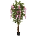 thumbnail image 1 of 6.5&rsquo; Wisteria Silk Tree, 1 of 1