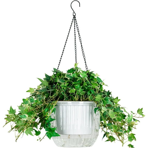 6.5inch 1 Pack Self Watering Hanging Planter, Indoor Outdoor Hanging Drainage Holes Planters Flower Pot Basket, Visible Water Level, Plant Hanger Home Garden Decor