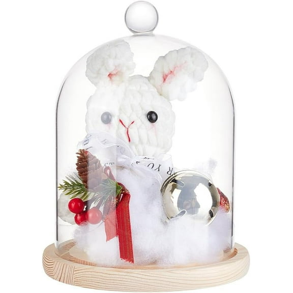 6.6x9.2inch Glass Display Dome Cloche with Round Top Handle Everlasting Flower Glass Cover with Wooden Base for Specimens Plants DIY Decor 1pc