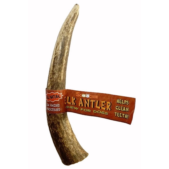 6-7 Inch Assorted Elk Antlers Split and Whole USA Sourced