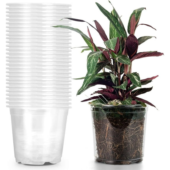 6.7 Inch Clear Plastic Pots for Plants, PandaTop Clear Nursery Pots with Drainage Holes, Flower Pots for Indoor Plants(15 Pack)