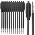 thumbnail image 1 of 6.8" Plastic Hunting Fishing Bolts Arrows for 50-130 lbs Pistol Crossbow bowfish, Pack of 12, 1 of 7