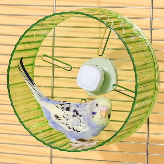 6.8-inch Parrot Silent Running Wheel, Parrot Exercise Wheel, Birds, Parrots, Turtles, Hamsters, Small Animal Quiet Running Wheel.