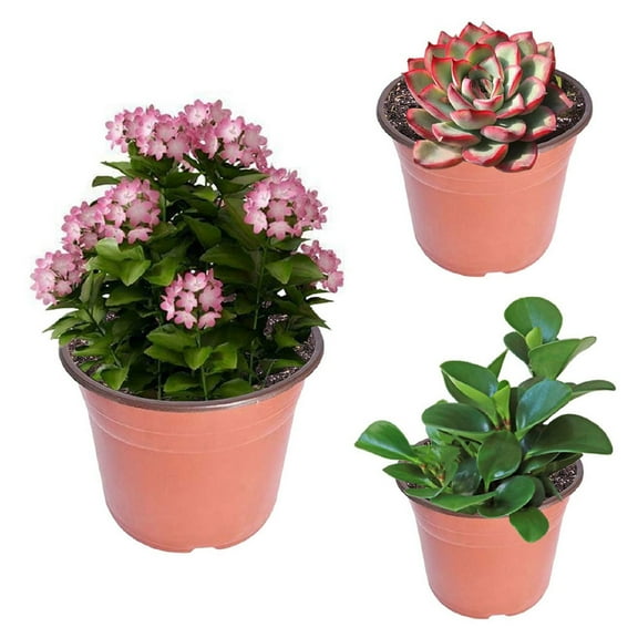 6.8in 100 PCS Plant Pots Nursery Seedlings Pot Flowerpots Plastic Container for Indoor Outdoor