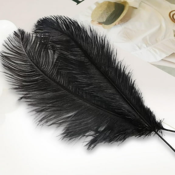 6-8inch(15-20cm) Ostrich Feathers Plume for Wedding Centerpieces Home Decoration Pack of 15pcs (Black)