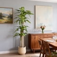 thumbnail image 1 of 6  Artificial Dracaena Tree in Black Plastic Pot Realistic Indoor Faux Plant 1 Set, 1 of 11