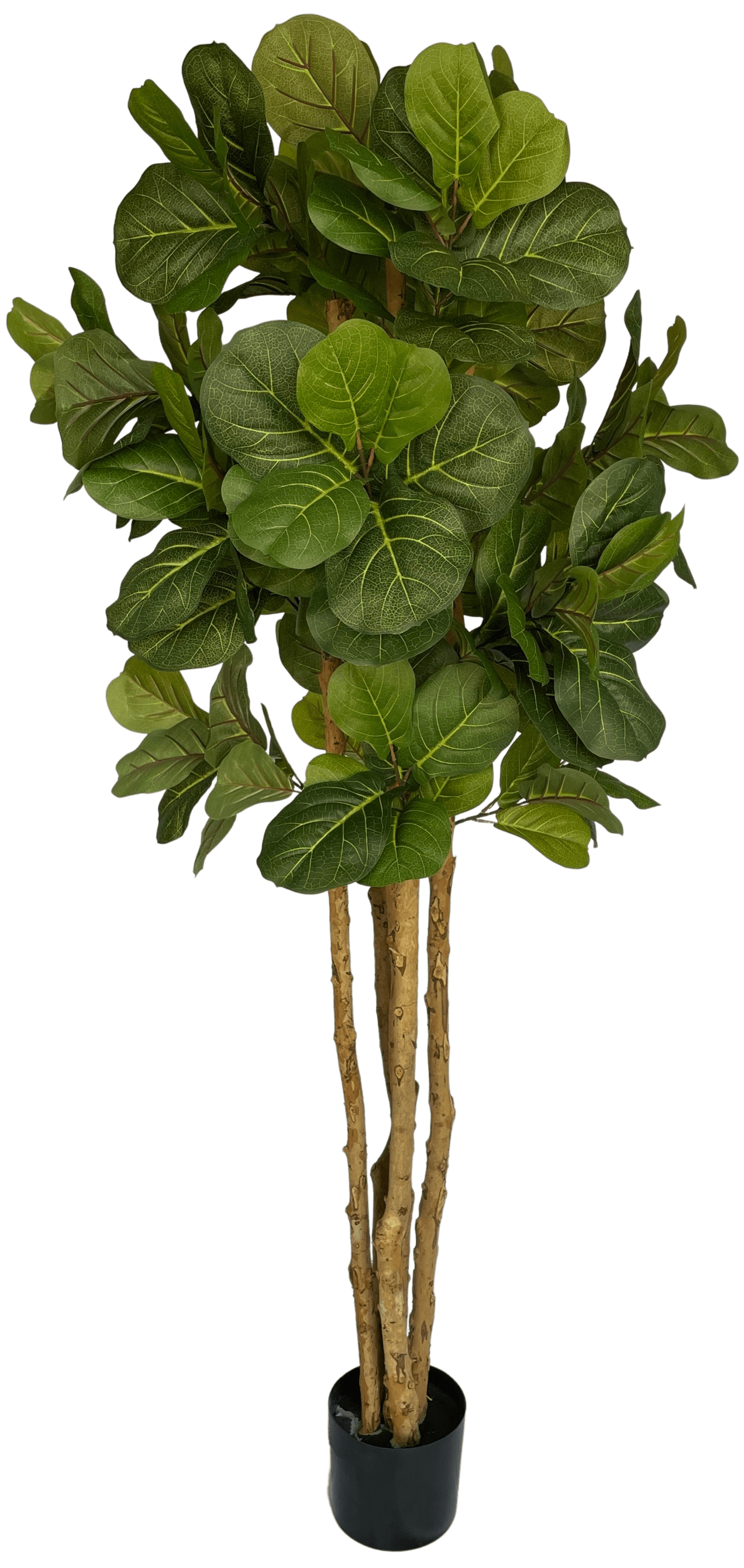 6' Artificial Fiddle Leaf Fig Tree in Plastic Planter