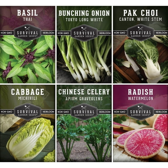 6 Asian Vegetable Seeds - Thai Basil, Napa Cabbage, Pak Choi, Celery, Green Onion, Radish - Biennial