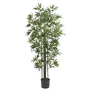 6 Bamboo Silk Tree, Green Trunks