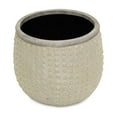 thumbnail image 1 of 6" Beige Dot Ceramic Indoor Outdoor Round Pot Planter, 1 of 6