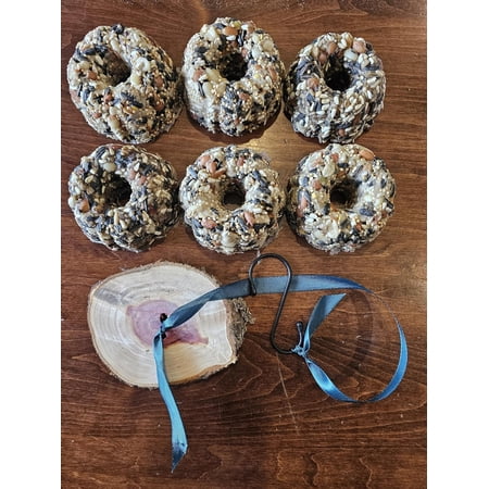 6 Bird Food Donuts and Hanging Feeder - Handmade Feeder and Bird Feed Donuts to Attract Songbirds, Cardinals, Robins - Bird Watching