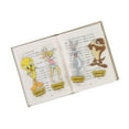 thumbnail image 1 of 6" Bulk 48 Pieces Looney Tunes Character Transparent Plastic Bookmarks, 1 of 1