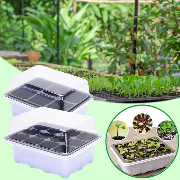 6-Cell Seed Starter Tray with Lid, Indoor Propagation Box for Seedlings, Reusable Plant Germination Kit