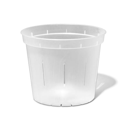 6" Clear Slotted Orchid Pot (3 Pack) by rePotme
