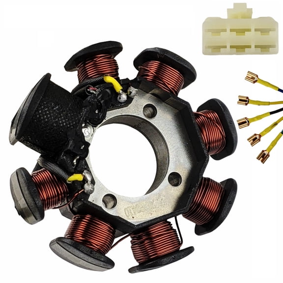 6-Coil Stator Plate Assembly with Wiring Harness Compatible with RPS Hawk 250 Carb DLX X-Pro Hawk 250 Cougar Cycle Raven BSR 250cc Xmoto X88 Carb Gator 250RTS DF250RTS Replaces 22000-LA73-0903