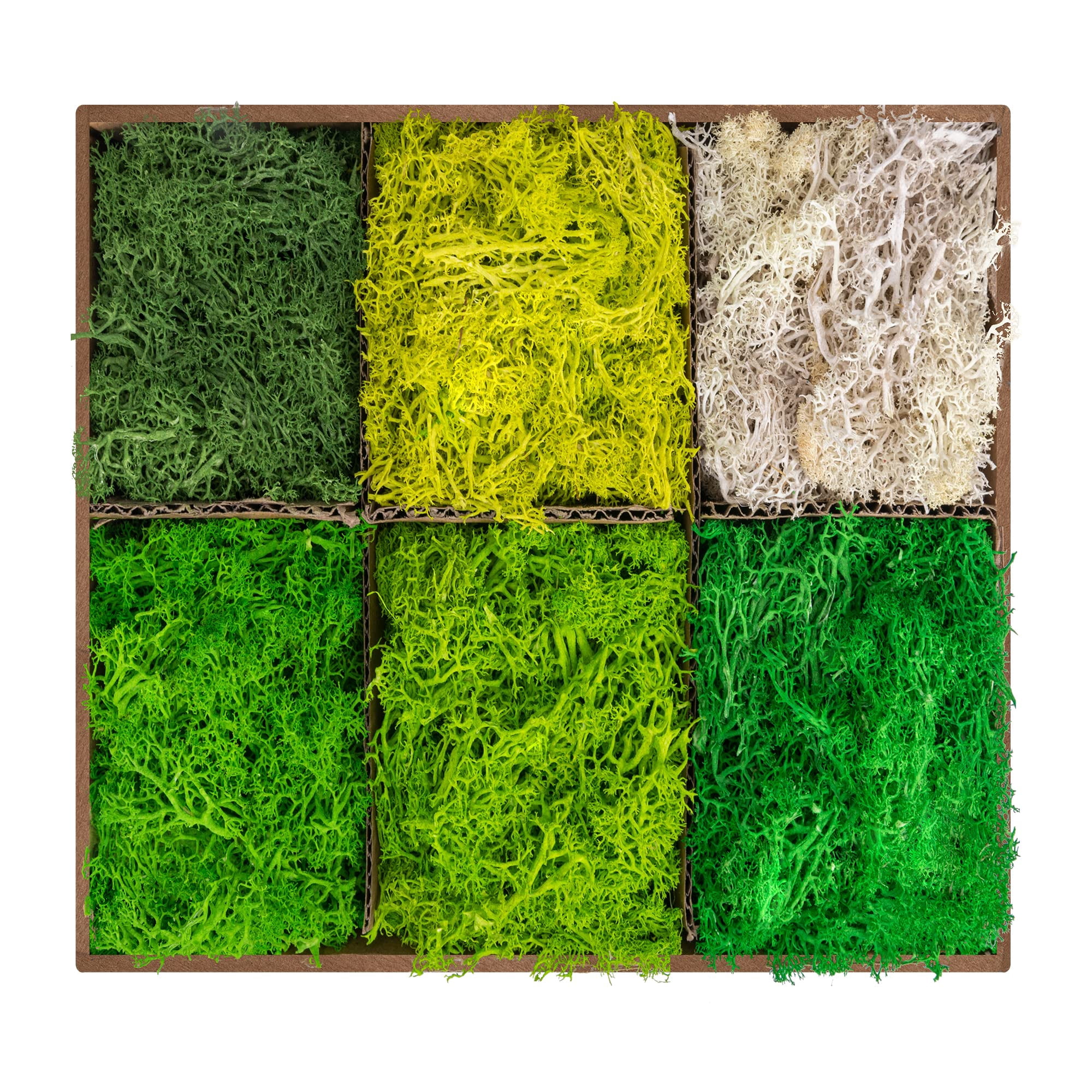 6 Colors Preserved Moss - 16.9 oz Natural Reindeer Moss for Crafts Potted Plants Floral Arrangements Home Garden Decor