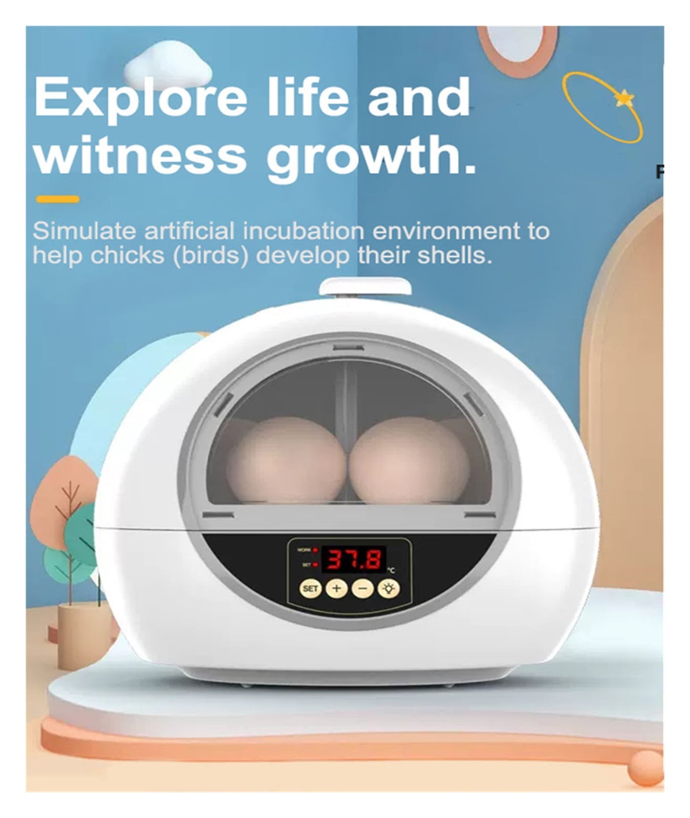 6 Eggs Chicken Bird Incubator Eggs Hatching Machine Automatic ...