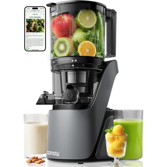 6" Extra Wide Feed Chute Cold Press Juicer, 3-IN-1 Strainers (Juice & Sorbet & Nut Milk), Powerful AC Brushless Motor, Self Precut System, Juicer Machines with BPA-Free (Space Gray)