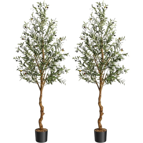 6 FT Artificial Olive Tree Indoor, Tall Faux Olive Tree with Moss, Black Nursery Pot, Artificial Silk Plant, Designed Faux Wood Trunk and Realistic Fruit, Perfect for Home Office Decor Gift 2 Pack