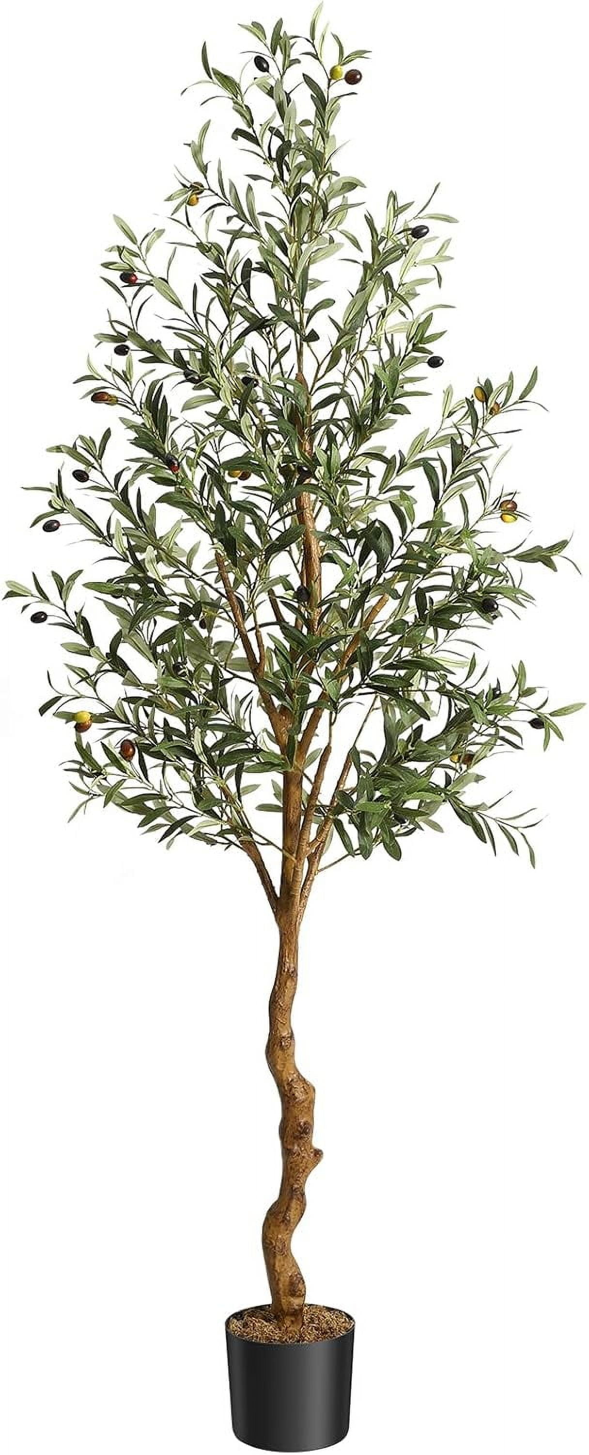 6 FT Artificial Olive Tree Indoor, Tall Faux Olive Tree with Moss ...