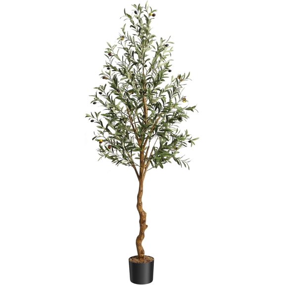 6 FT Artificial Olive Tree Indoor, Tall Faux Olive Tree with Moss, Black Nursery Pot, Artificial Silk Plant, Designed Faux Wood Trunk and Realistic Fruit, Perfect for Home Office Decor Gift 1 Pack