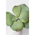 thumbnail image 1 of 6" Faux Green\Gray Kalanchoe Succulent Pick, 1 of 4