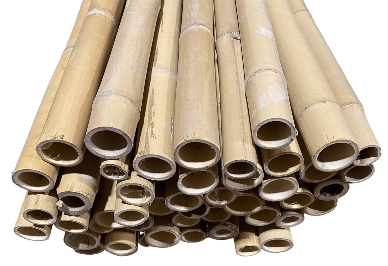 5.5 Feet Long Natural Thin Bamboo Poles Pack of 20!