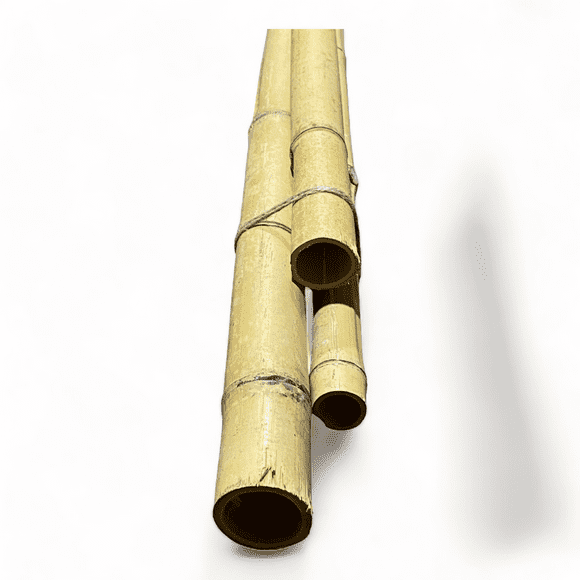 6 Feet Long Natural Thick Red Bamboo Poles 1.5 in WIDE - Pack of 3