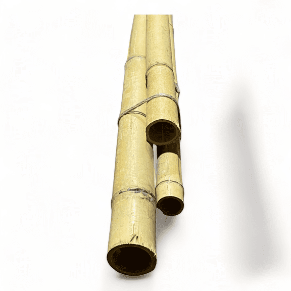 6 Feet Long Natural Thick Red Bamboo Poles 1.5 in WIDE - Pack of 3
