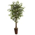 thumbnail image 1 of 6' Ficus Tree w/ Bamboo Planter, 1 of 1