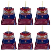 FLY JAIL XLarge Disposable Outdoor Fly Traps Pre-Baited High-Capacity Fly Catcher(6 Pack)