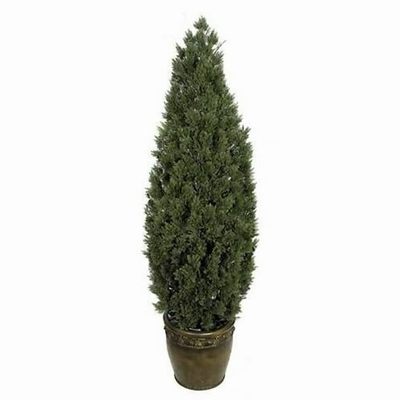 6 Foot Cedar Tree - Green