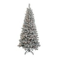 thumbnail image 1 of 6-Foot Pre-Lit Clear New Brunswick Tree, 1 of 2