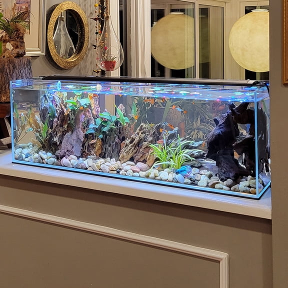 6 Gallon Long 45 Degree Low Iron Ultra Clear Bookshelf Aquarium 5mm Glass - 29.92" L X 5.90" W X 7.87" H
