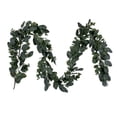 thumbnail image 1 of 6 Green Eucalyptus, 1 of 2