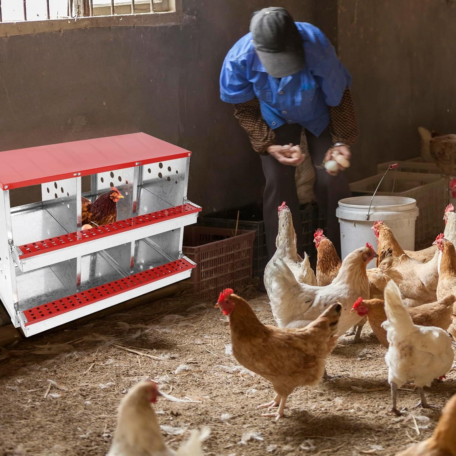 6 Hole Chicken Nesting Box Hen Laying Boxes Roll Away Nesting Box for ...